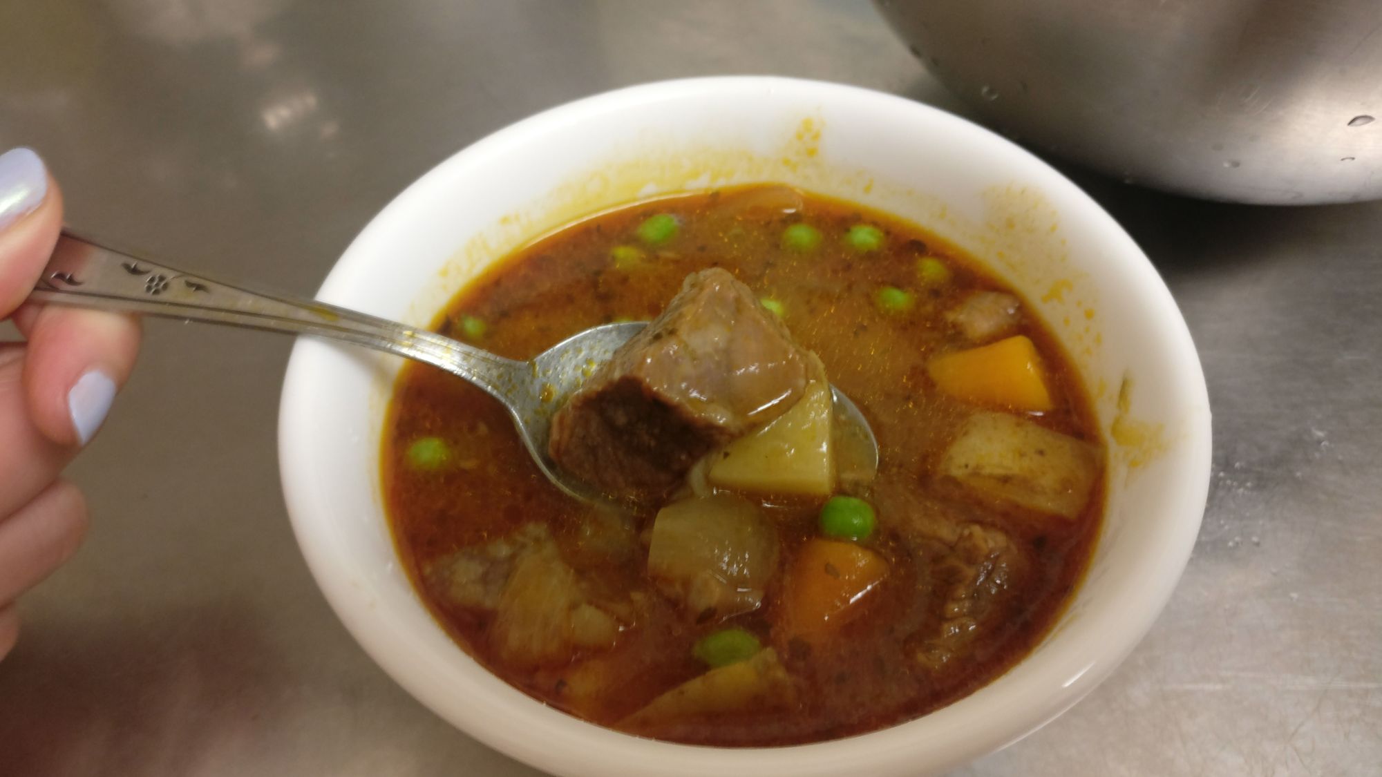 Instant Pot Beef Vegetable Stew (or soup?)